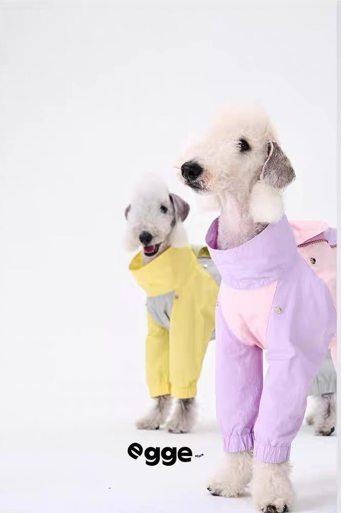 Colorful Raincoat & Hats Bedlington Dog Clothes