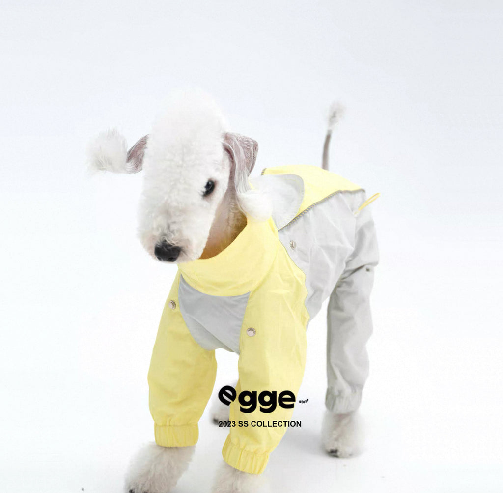 Colorful Raincoat & Hats Bedlington Dog Clothes