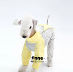 Colorful Raincoat & Hats Bedlington Dog Clothes
