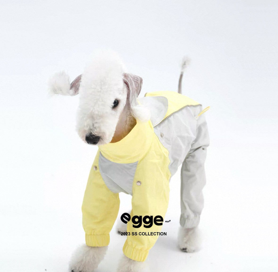 Colorful Raincoat & Hats Bedlington Dog Clothes