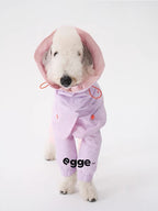 Colorful Raincoat & Hats Bedlington Dog Clothes
