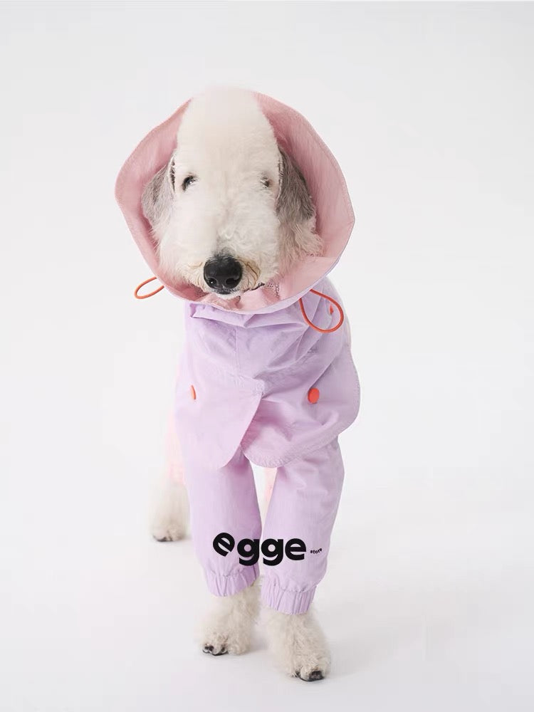 Colorful Raincoat & Hats Bedlington Dog Clothes