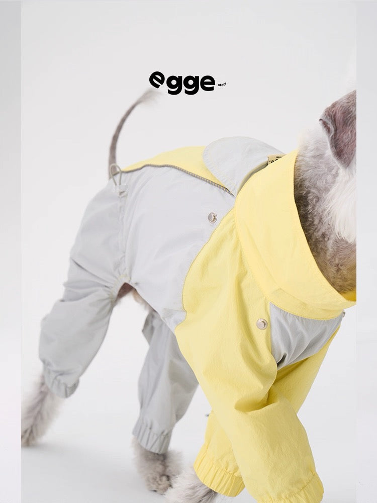 Colorful Raincoat & Hats Bedlington Dog Clothes