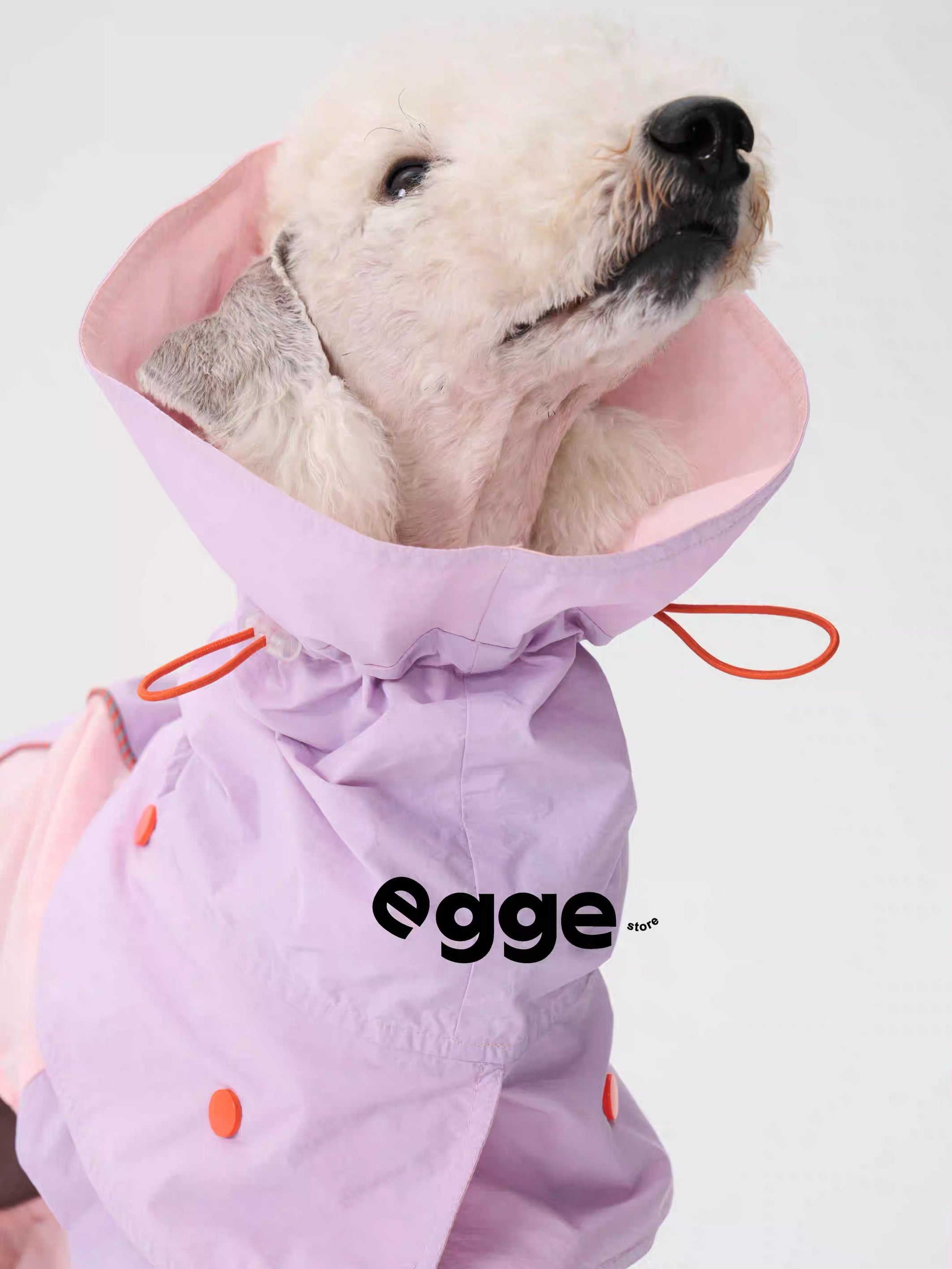 Colorful Raincoat & Hats Bedlington Dog Clothes
