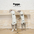 Light Warm Cotton-Padded Stylish Jacket with All-legs covered for Italian Greyhound Bedlingtons & Whippets