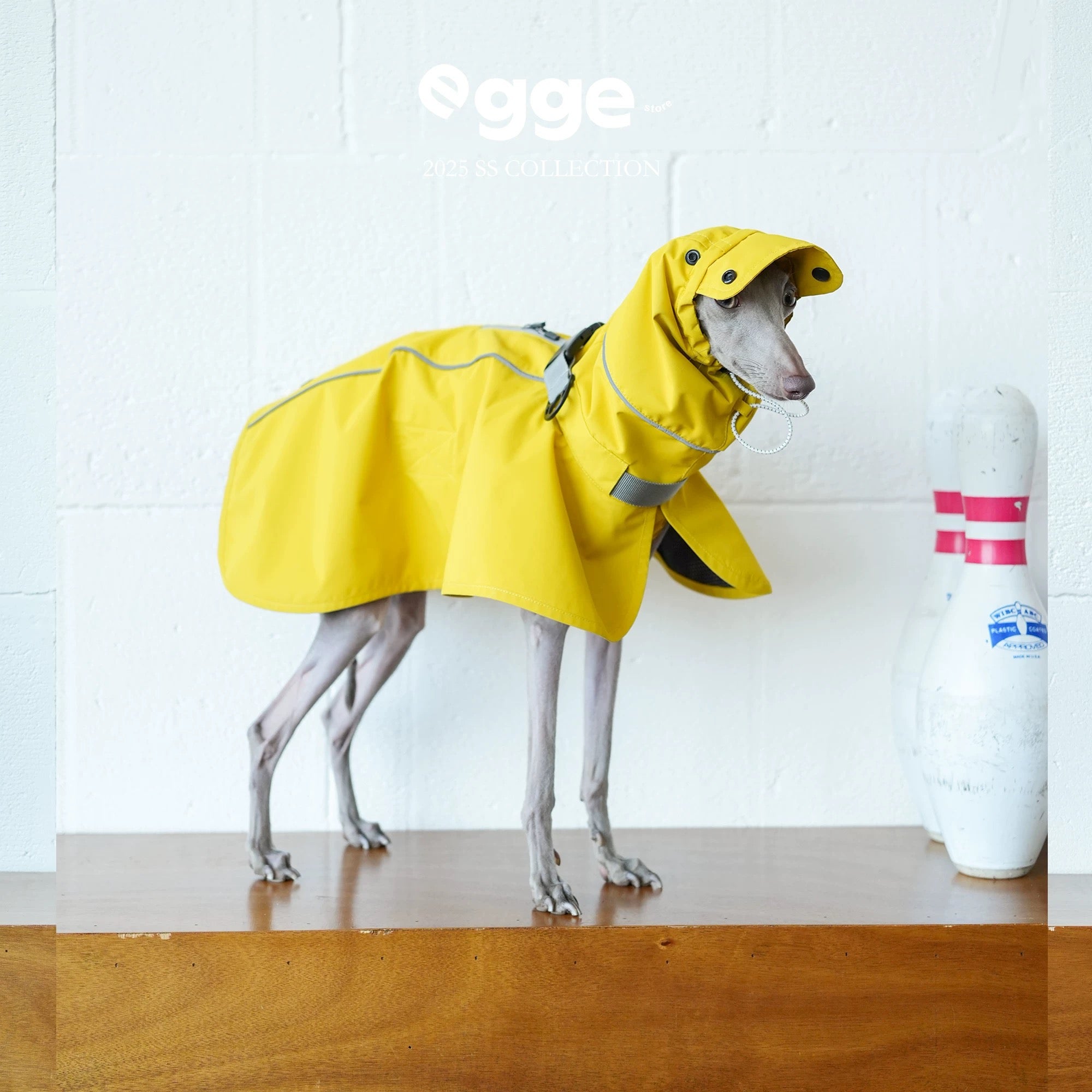 Colorful Raincoat Cape for Bedlington Italian Greyhound & Whippet