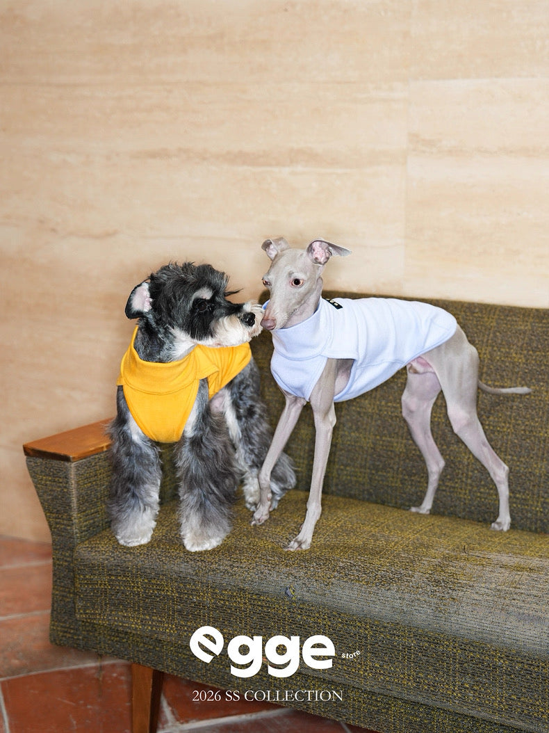 Colorful Daily Vests-Three Colors Available for Italian Greyhounds Whippets and Bedlingtons