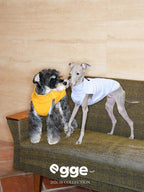 Colorful Daily Vests-Three Colors Available for Italian Greyhounds Whippets and Bedlingtons
