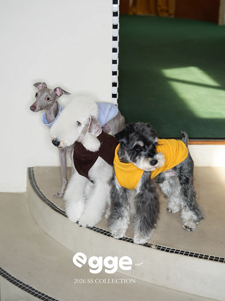 Colorful Daily Vests-Three Colors Available for Italian Greyhounds Whippets and Bedlingtons