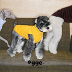 Colorful Daily Vests-Three Colors Available for Italian Greyhounds Whippets and Bedlingtons