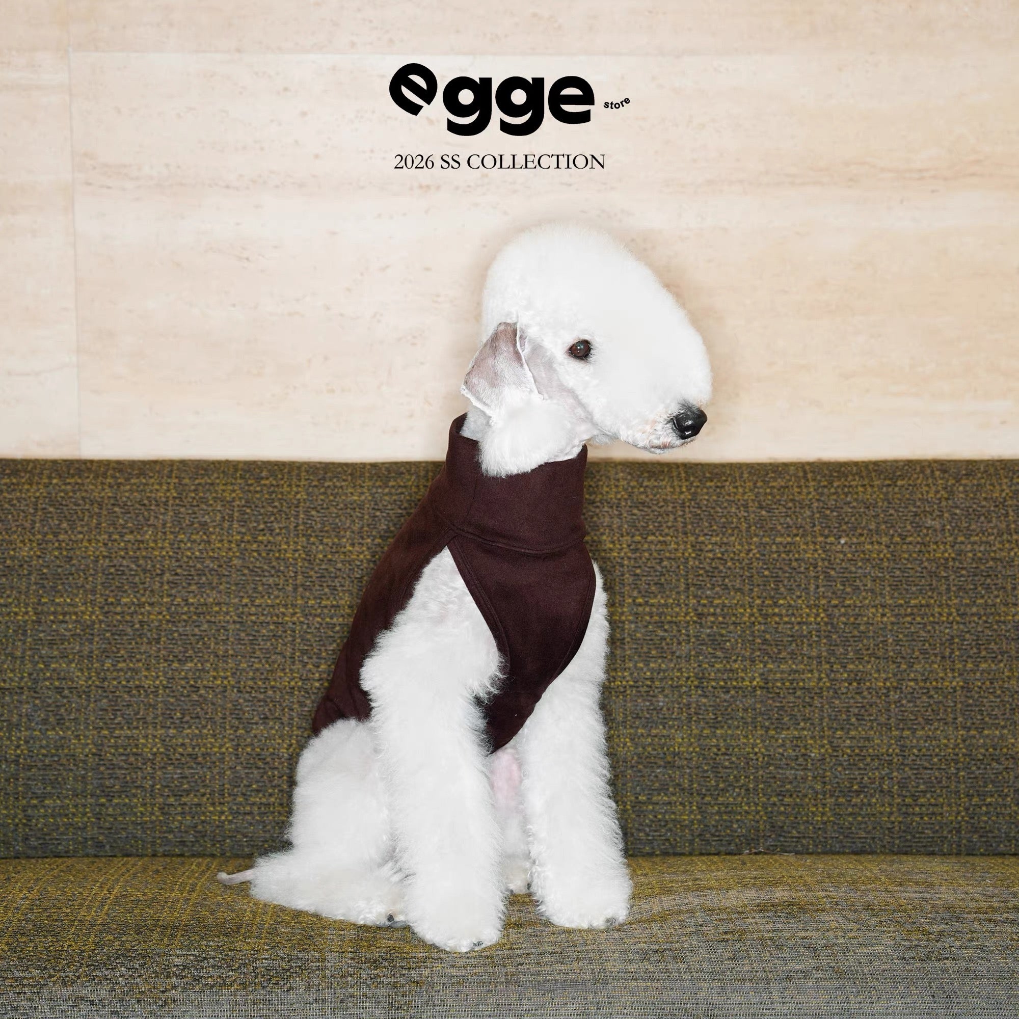 Colorful Daily Vests-Three Colors Available for Italian Greyhounds Whippets and Bedlingtons