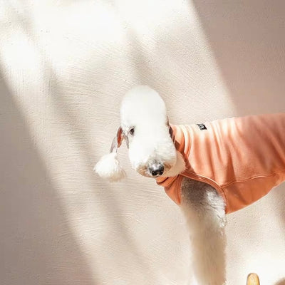 Model Summer