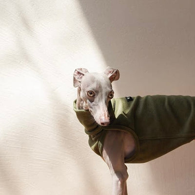 Model Kiki