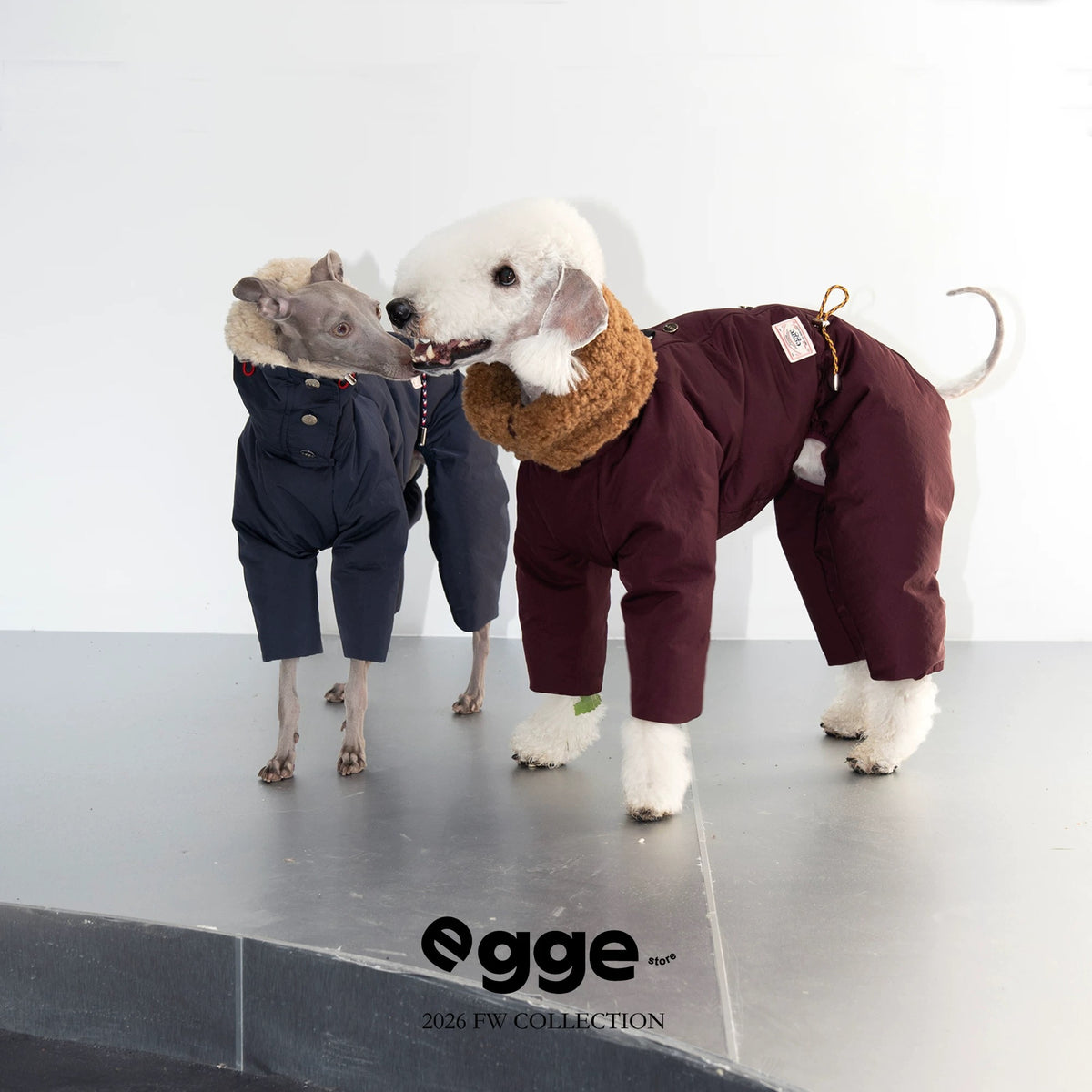 Premium Duck Down Snowsuits for Italian Greyhounds and All Breeds