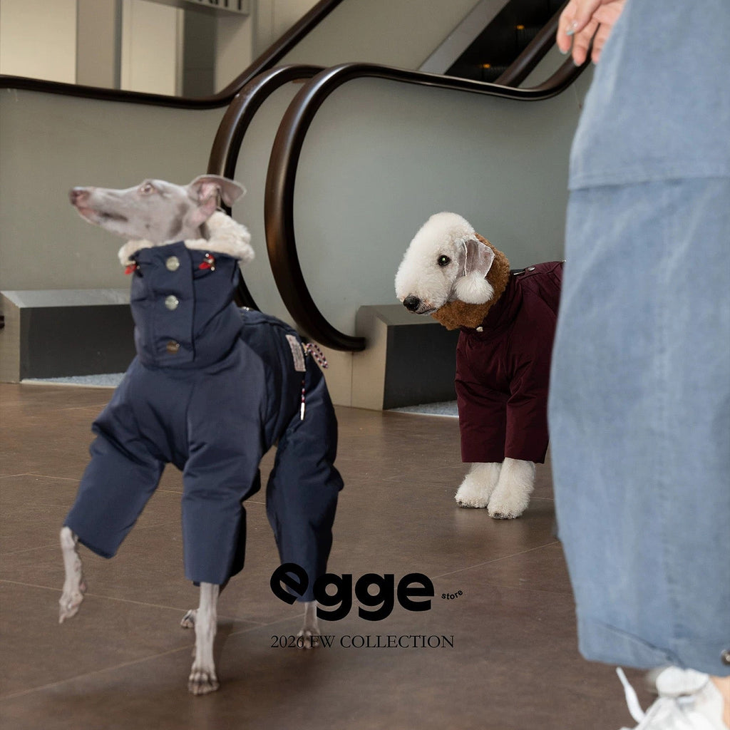 Premium Duck Down Snowsuits for Italian Greyhounds and All Breeds