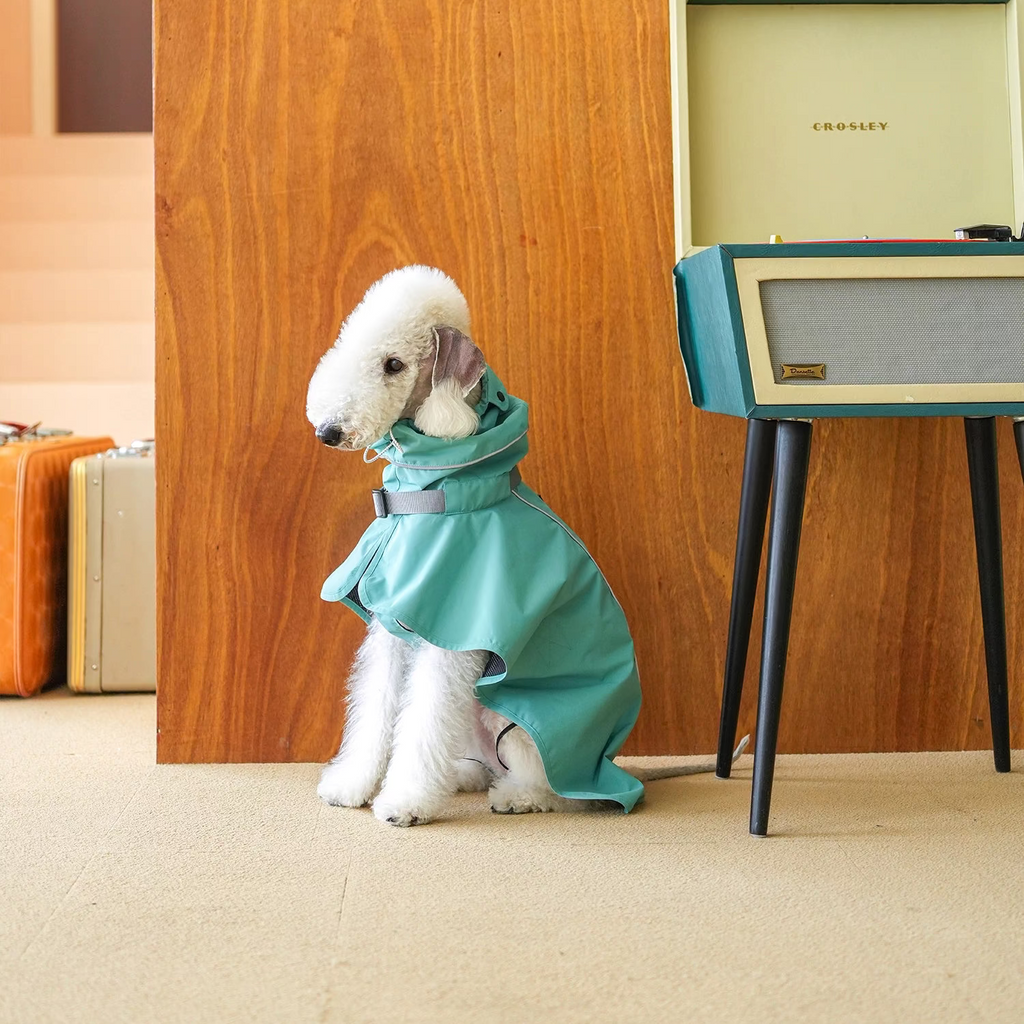 Colorful Raincoat Cape for Bedlington Italian Greyhound & Whippet