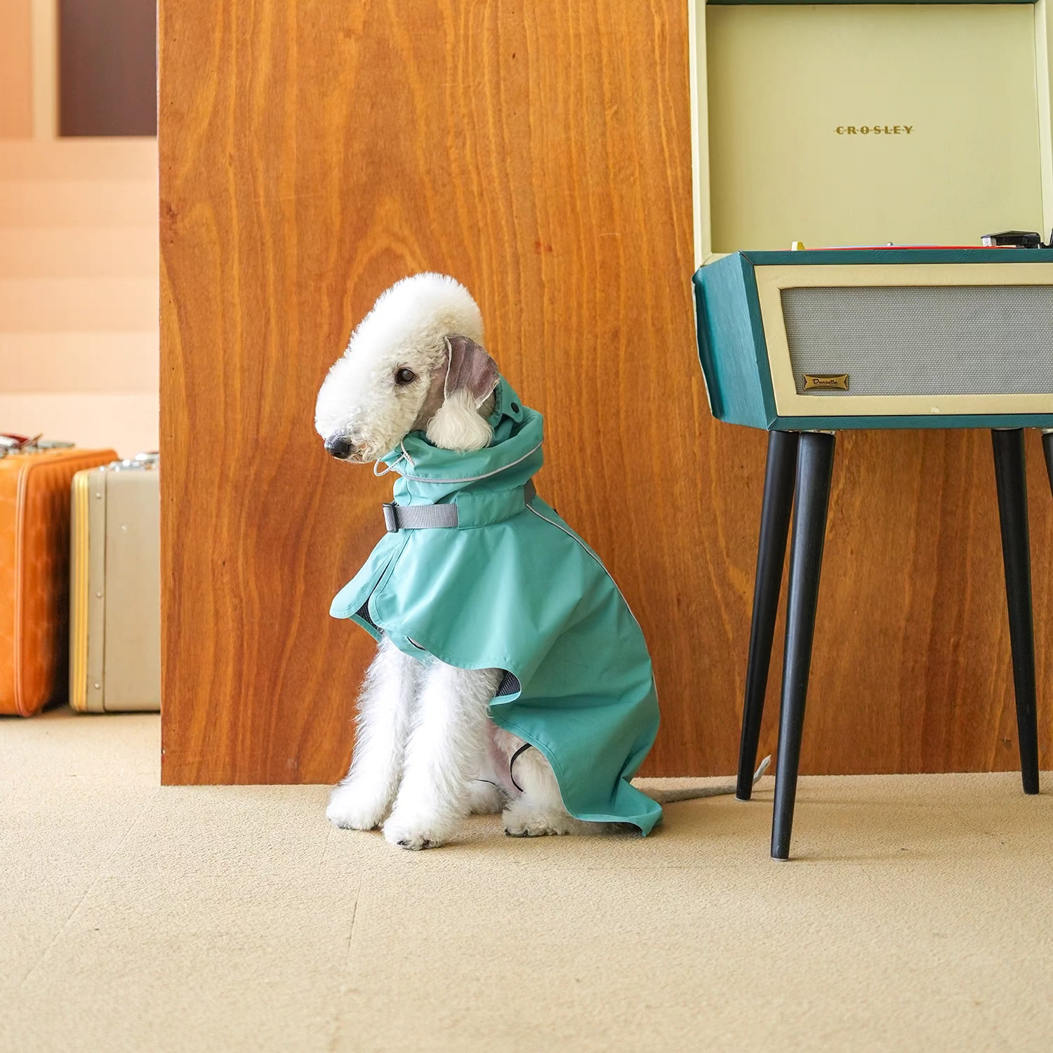 Colorful Raincoat Cape for Bedlington Italian Greyhound & Whippet