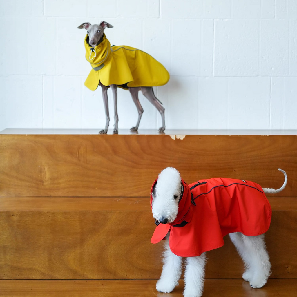 Colorful Raincoat Cape for Bedlington Italian Greyhound & Whippet