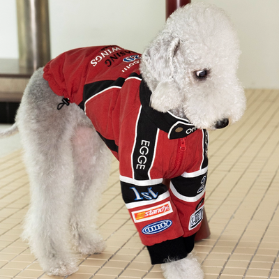 Model Winston