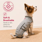 Small dog wearing a gray breathable recovery suit after surgery, a soft cone alternative from Hygge