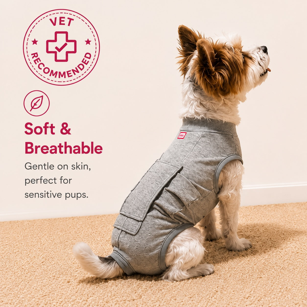 Small dog wearing a gray breathable recovery suit after surgery, a soft cone alternative from Hygge