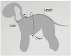 Dog measurement guide for the recovery suit, showing where to measure neck, chest, and length