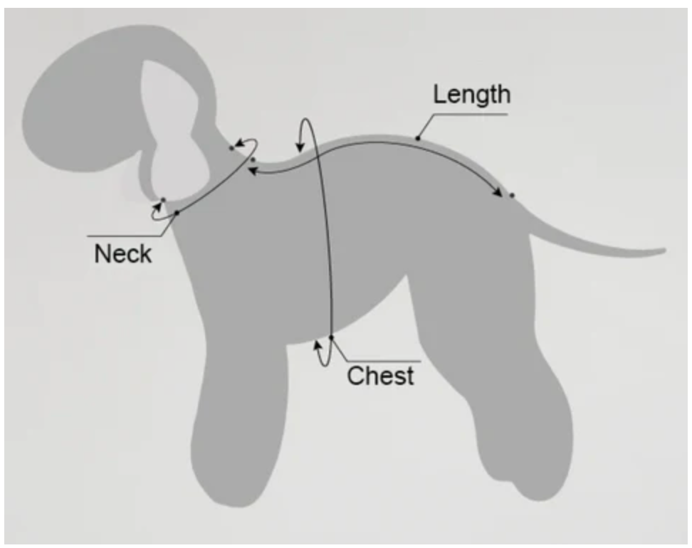 Dog measurement guide for the recovery suit, showing where to measure neck, chest, and length