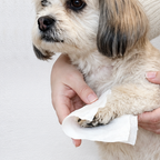 Person cleaning a dog's paw with an unscented pet wipe