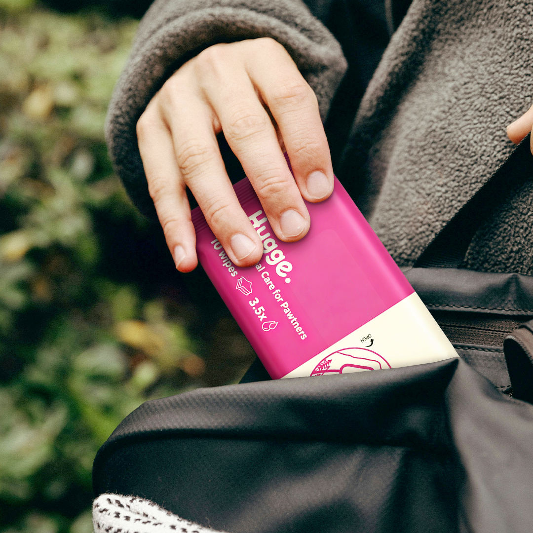 Slim pocket size dog wipes tucked into a backpack, ready for walks and travel outdoors
